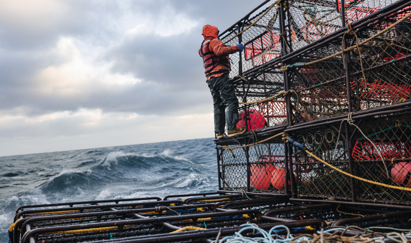 Photo by Corey Arnold, courtesy of XTRAFUF