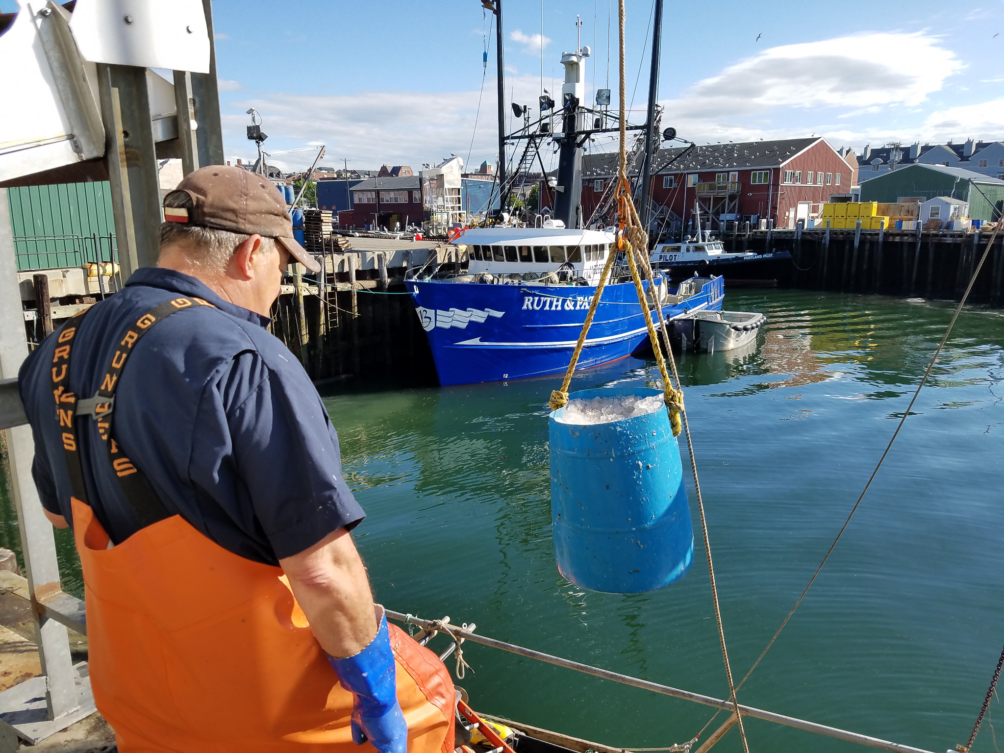 Fisherman Stock Photo - Download Image Now - Commercial Fishing