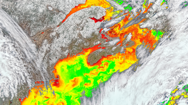 NASA joins SCEMFIS advisory board, bringing satellite data to fisheries research