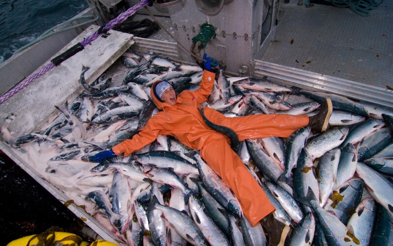 The slow death and uncertain future of California's swordfish