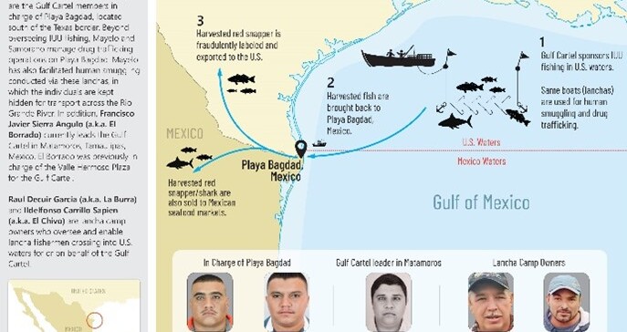 U.S. Treasury Department sanctions Gulf Cartel members for illegal fishing | National Fisherman