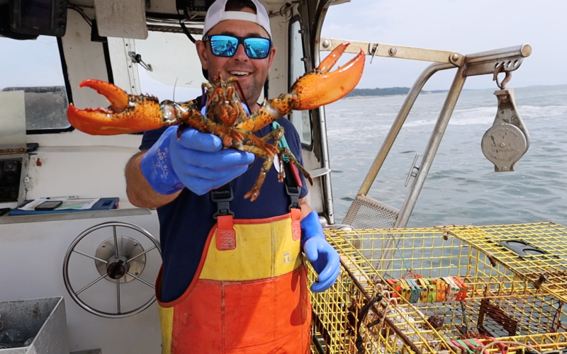 2023 National Fisherman Highliner Curt Brown. Maine lobsterman and marine biologist for Ready Seafood