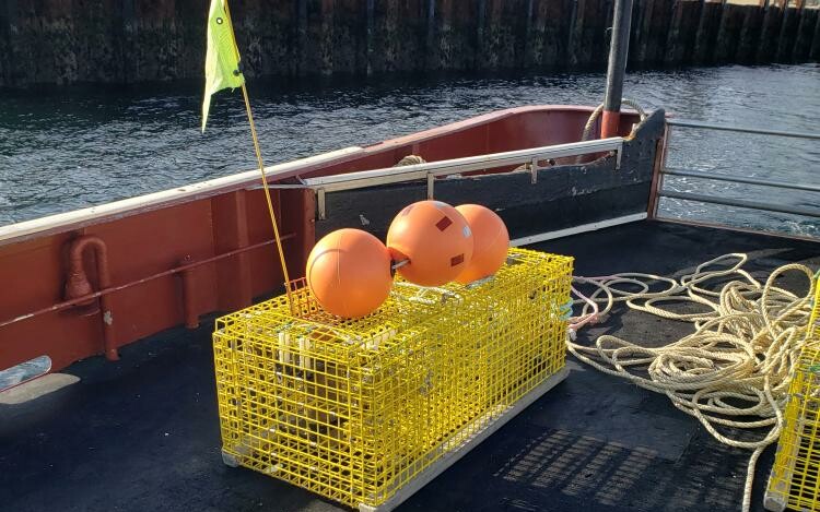 Ropeless Buoy Technology Tested in New England