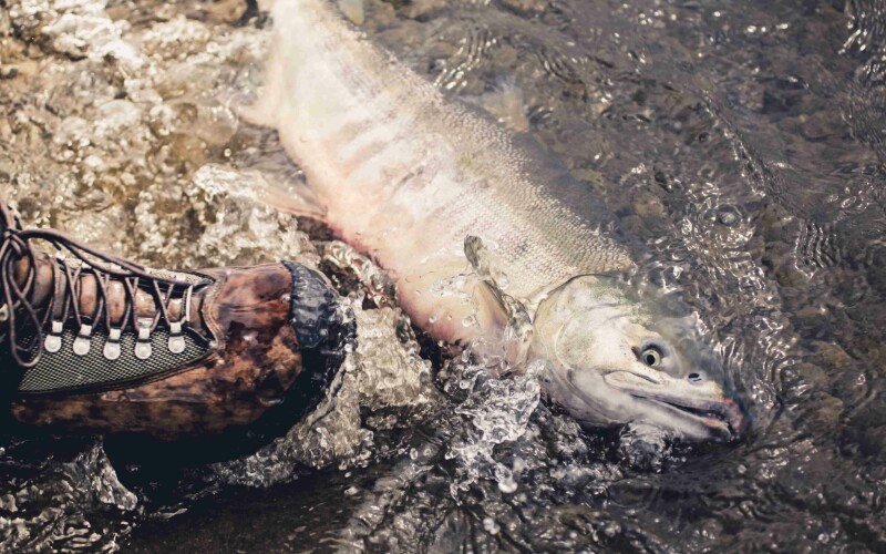 Photo by Clay Knight on Unsplash