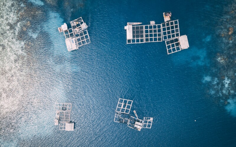 Fish farms in the ocean. aerial view