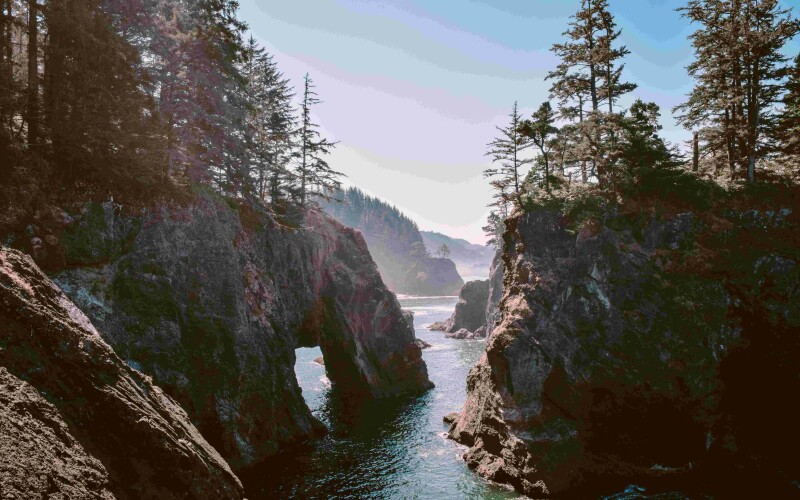 Photo by Katie Musial on Unsplash