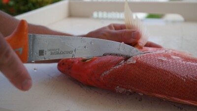 How to Fillet a Fish - New West KnifeWorks