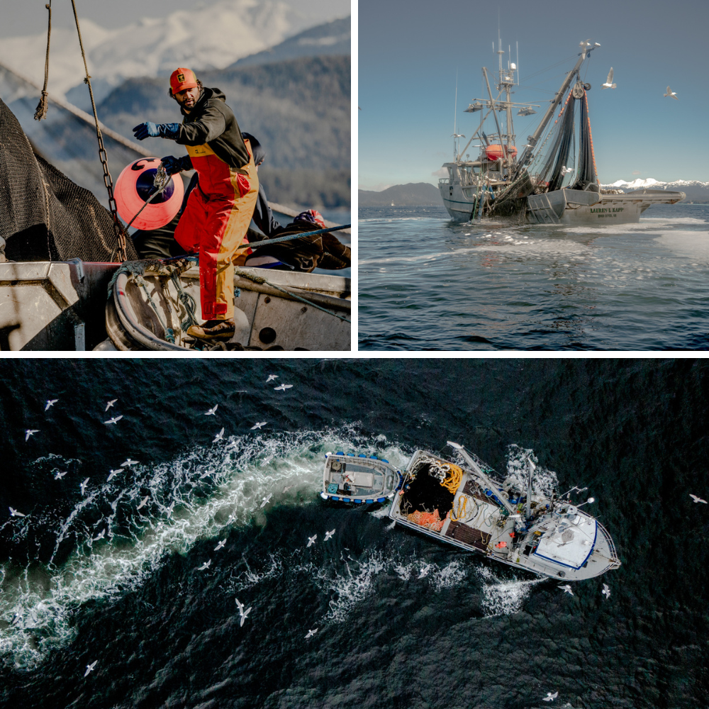 Commercial Fishing Photo Stories: Five Days at the Sitka Herring