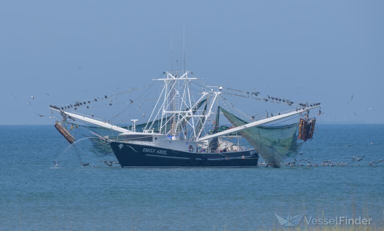 Alabama shrimper says transparency remains key