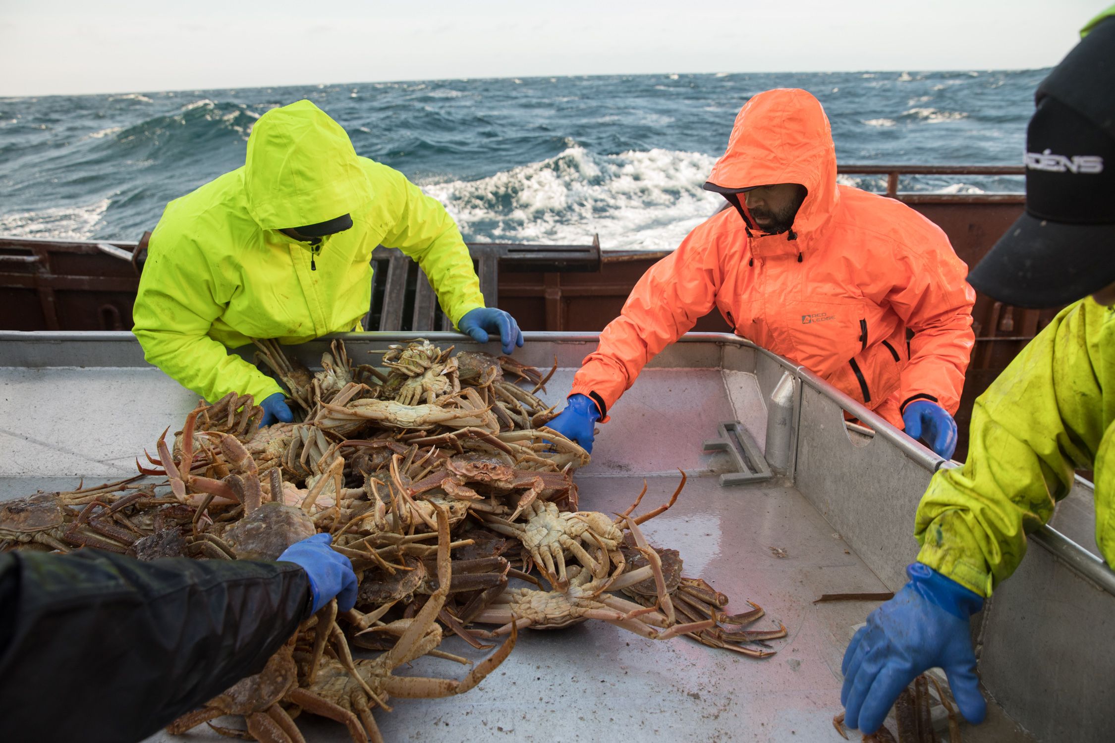 Bering Sea crabbers make online appeal for support