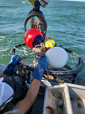 Fish smarter with smart buoys that enable gear tracking and management