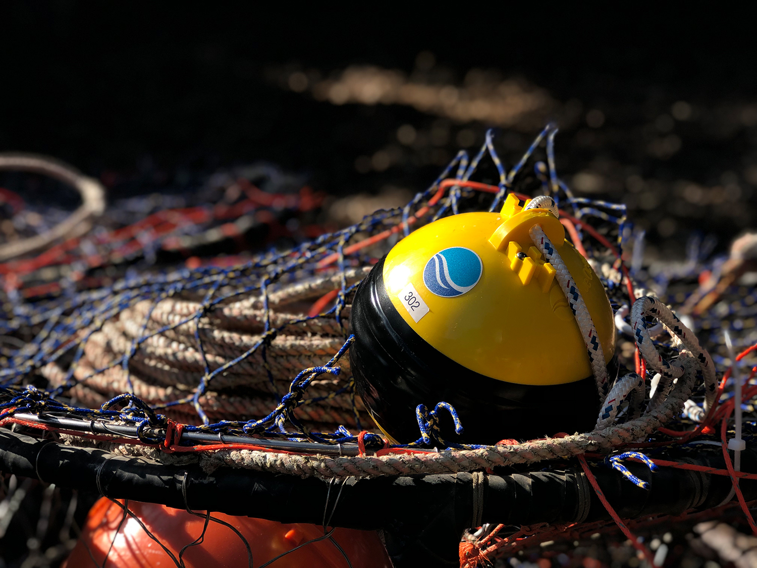 Fishing Nets and Fish Traps Stock Photo - Image of buoy, angler