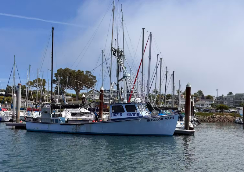 California’s salmon fishery is reopening, but that doesn’t mean all is well