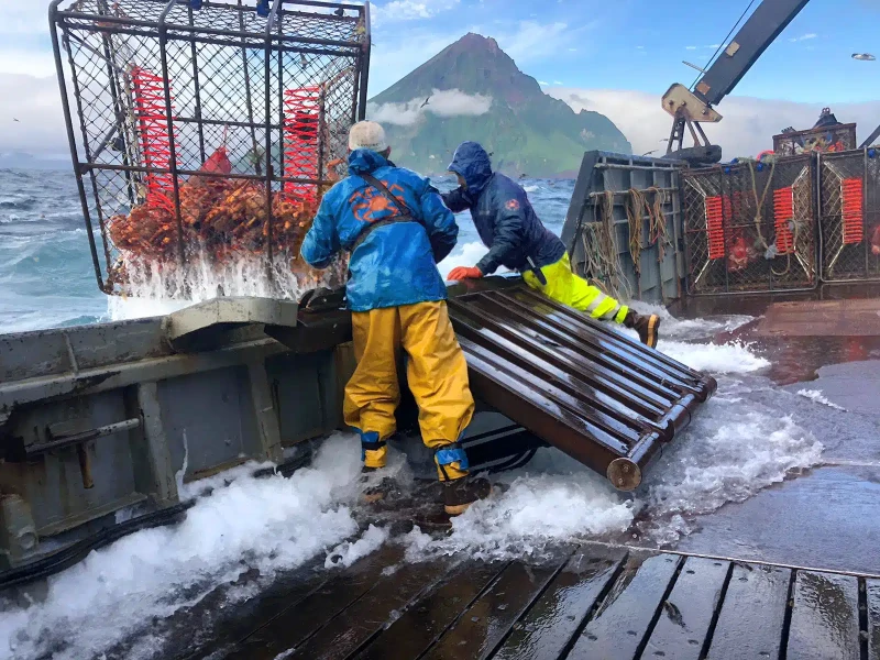 Alaska golden king crab TAC rises 13 percent for 2026-27 season