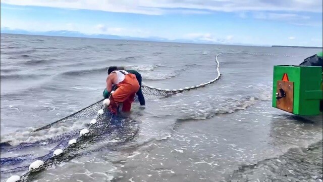 cook inlet set net fishing Cook Inlet setnetters told to wait for 2027