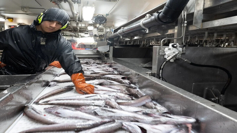 US seafood groups push back on EU seafood trade requirements