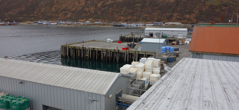 Pacific Seafood may acquire Peter Pan’s shuttered King Cove Plant