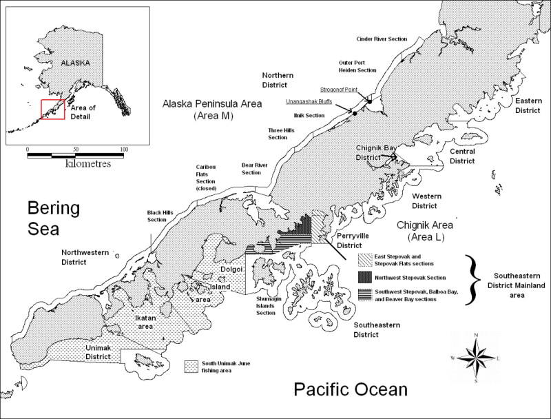 Area M salmon restrictions remain sidelines as subsistence groups weigh legal action