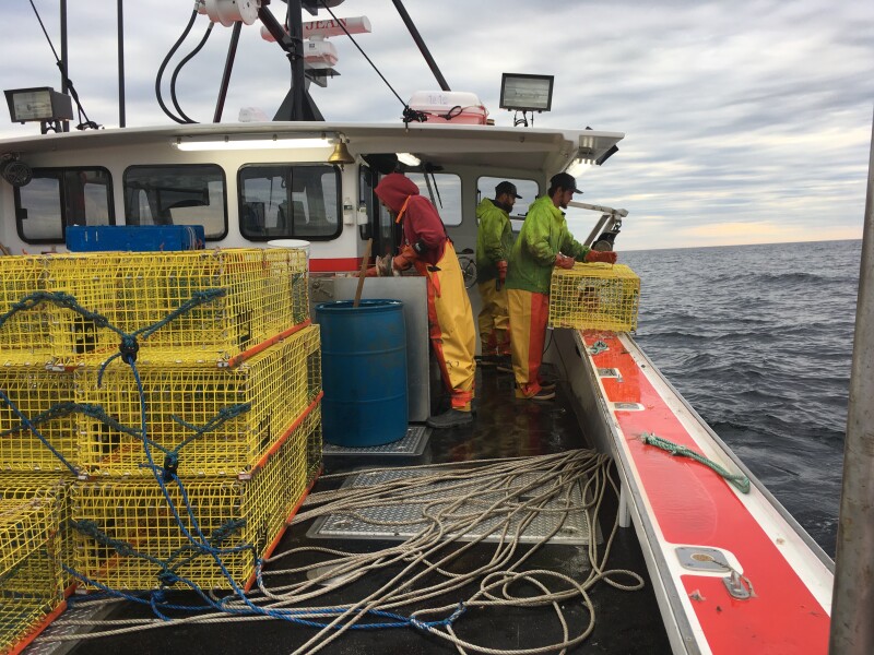 More than one way to save a whale