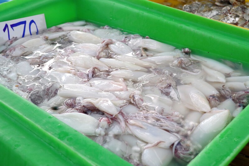 Federal rule expands 'shellfish' definition to include squid, octopus