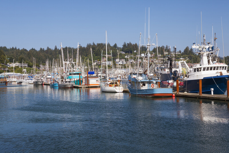 NPFMC executive director David Witherell to retire in October – National Fisherman