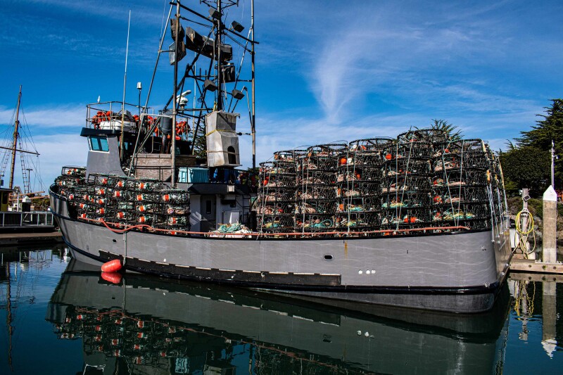 commercial crab dungeness crab traps