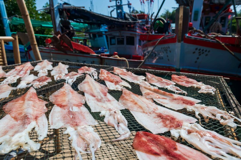 New bill takes aim at climate-driven quota challenges