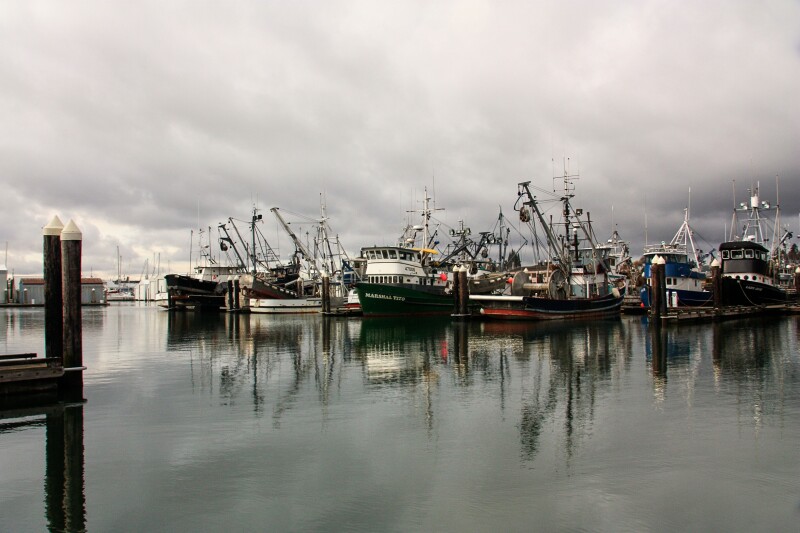 Regional fishery management council appointments announced