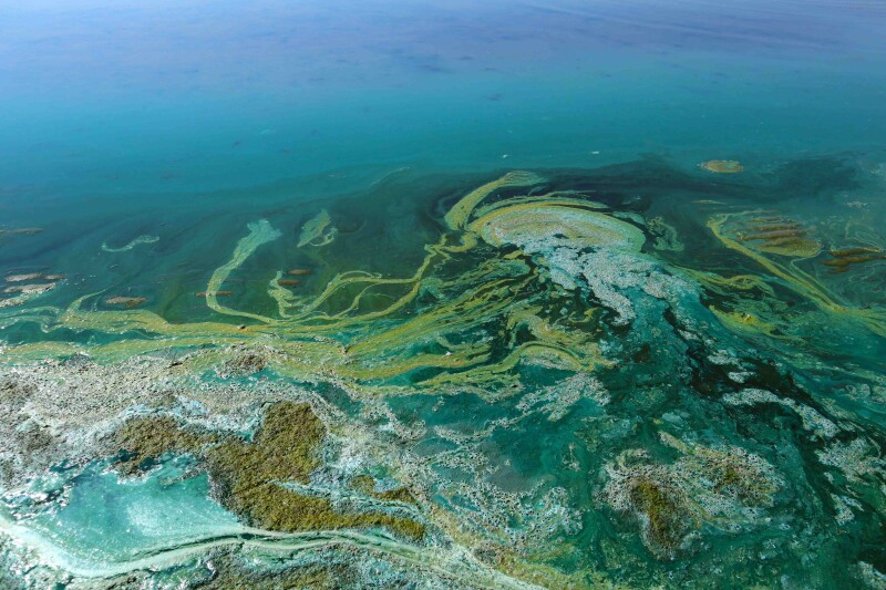 ‘Super’ El Niño could bring challenges for fishing fleets