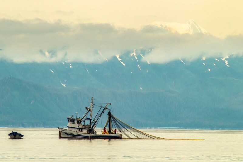 Sullivan, Peltola battle for Alaska fishing vote in Senate race