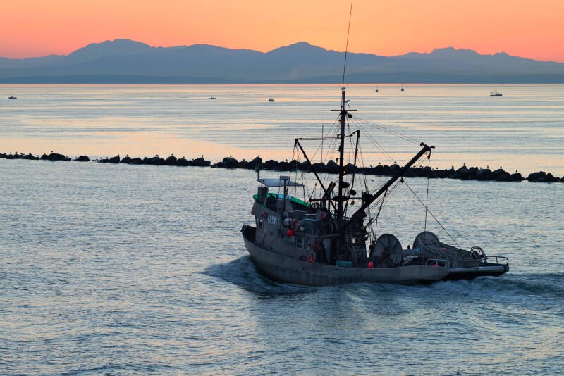 Calif. salmon season reopens, bringing cautious optimism