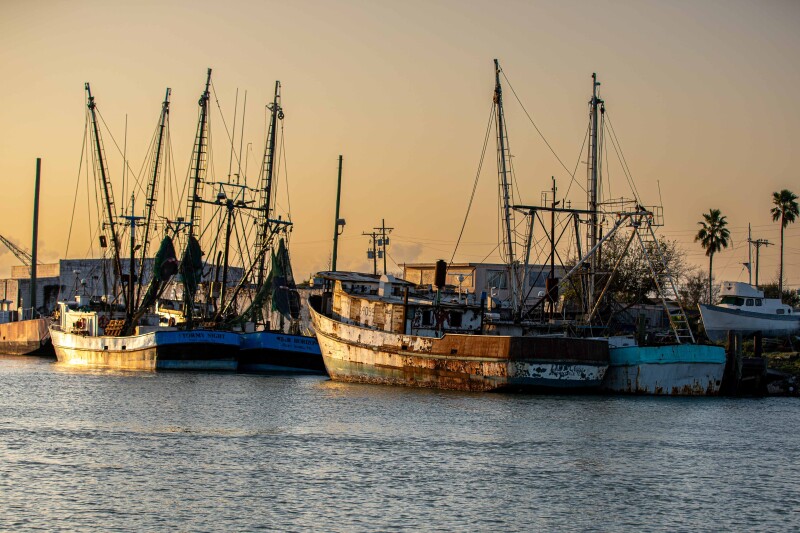 US fisheries lead the world in MSC sustainability certification