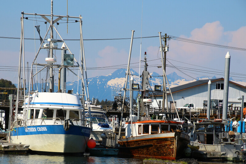 USDA launches first-ever Office of Seafood