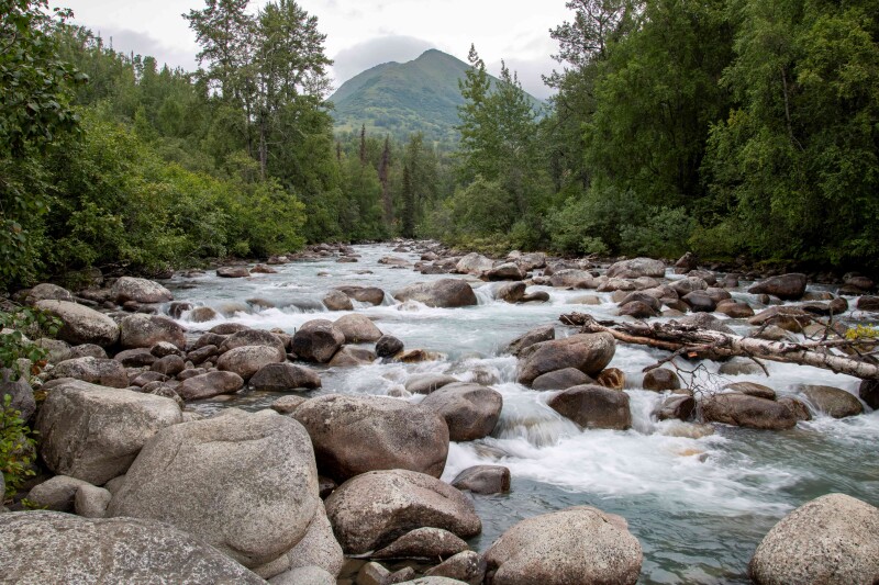 Groundwater plays a critical role in Southcentral Alaska salmon rivers