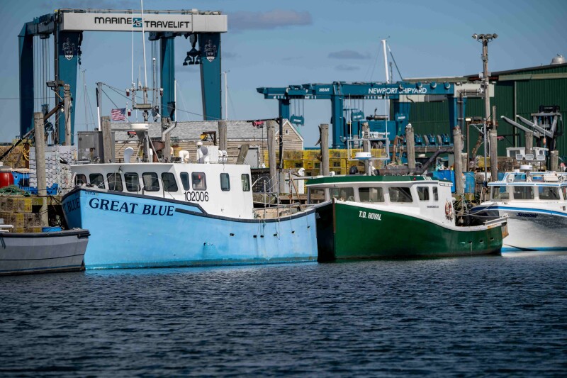 Major gaps remain in monitoring of seafood imports