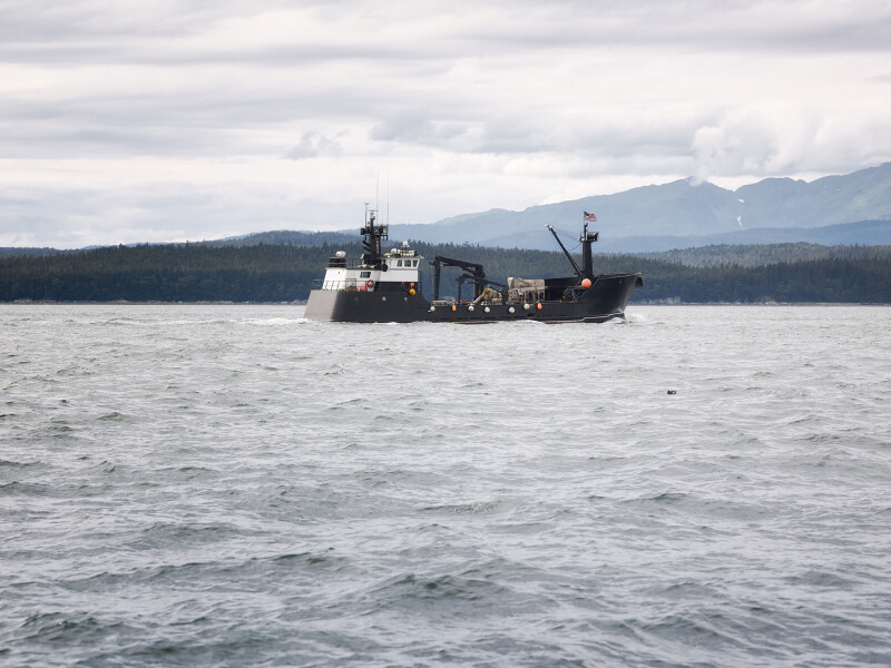 Alaska seafood harvesting jobs down for fifth straight year