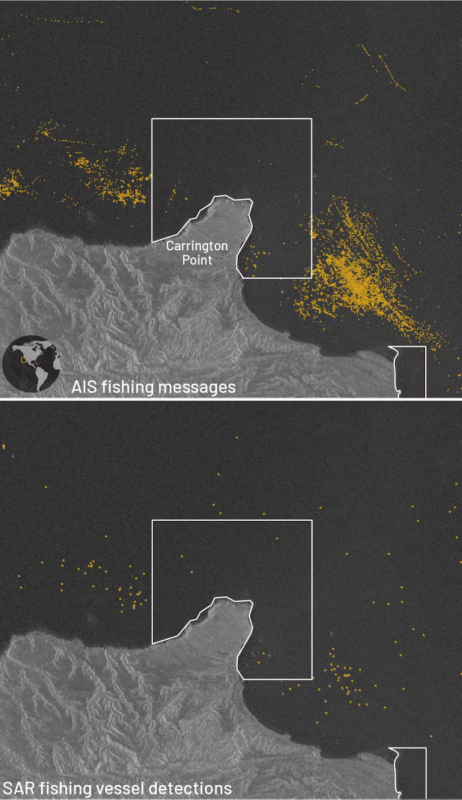 AIS transponder signals over 2017-2021 (top) and synthetic aperture radar data (bottom) both show industrial fishing activity (yellow) mostly avoiding Carrington Point State Marine Reserve, a protected area off California’s Santa Rosa Island. Jennifer Raynor, Sara Orofino, and Gavin McDonald