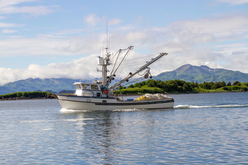 Report forecasts 15% drop in global salmon harvest