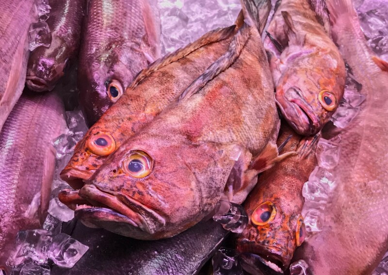 Red fish laying on ice in fish market