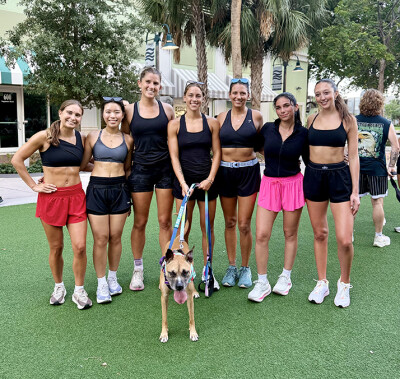 Two Miles, Four Legs and One Mission