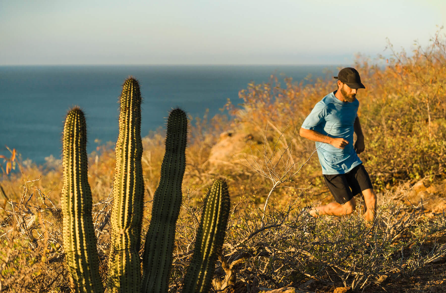 Hot on the Trail Hot on the Trail