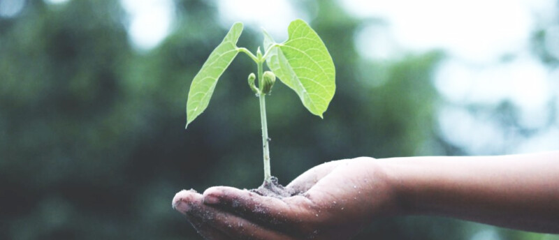 sustainability in run specialty