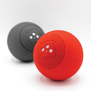 Massage therapy balls