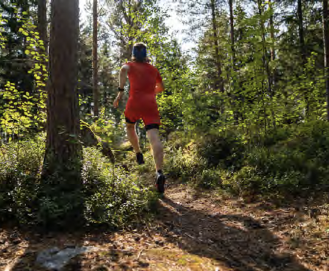 The "Essentials" Issue