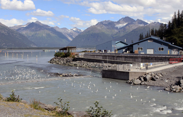 A salmon hatchery in Alaska.