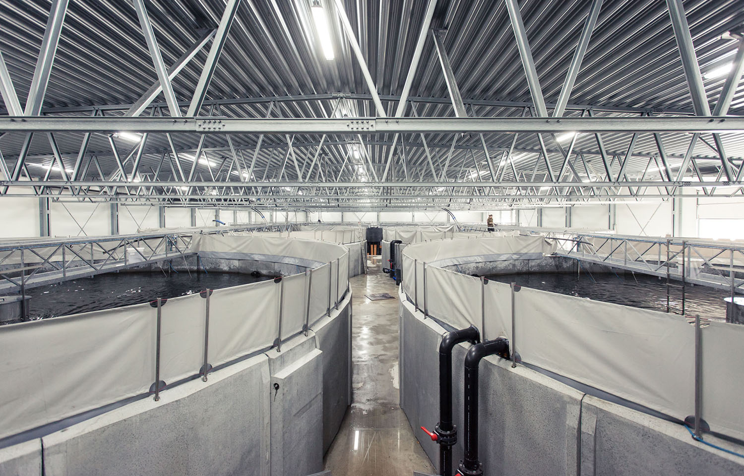 A row of tanks inside Danish Salmon's recirculating aquaculture system facility