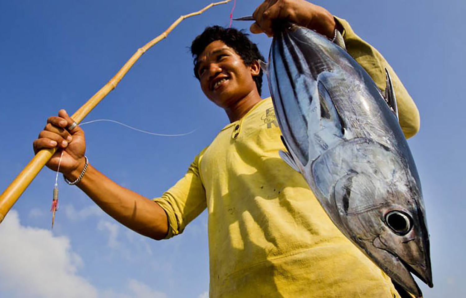 An Indonesian fisher catching tuna through the pole-and-line fishing method