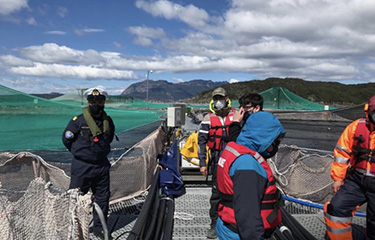Chile’s Superintendency of the Environment investigating an Australis Mar farm.