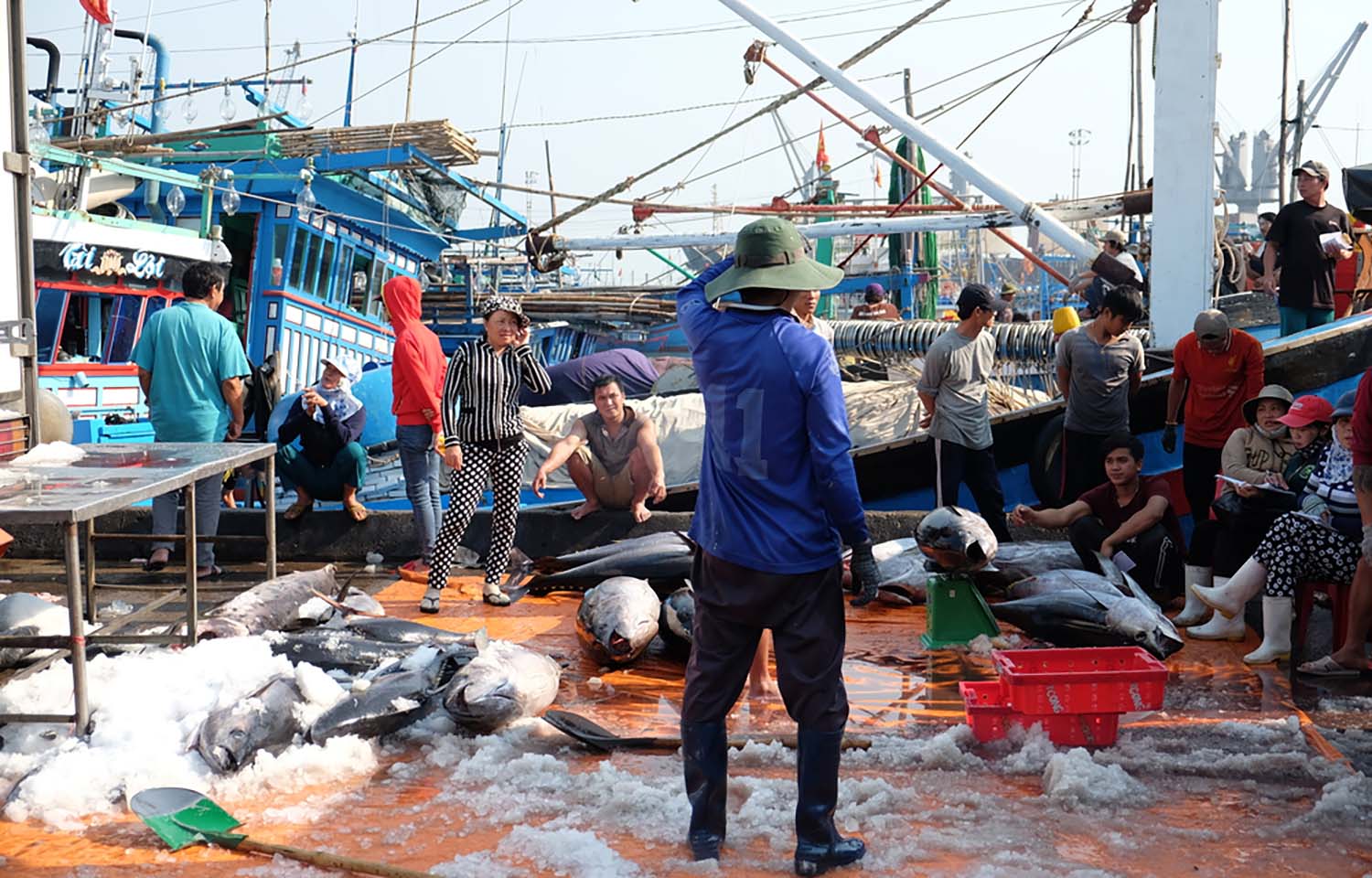 A Vietnamese tuna-fishing vessel