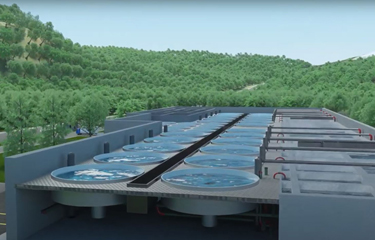 Proximar Seafood has signed an extension to its memorandum of understanding with the Marubeni Corporation for the distribution of Atlantic salmon from its land-based farm in Japan.